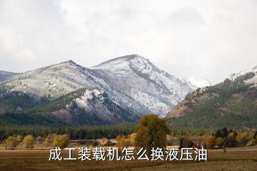 裝載機怎么卸油視頻，成工裝載機怎么換液壓油...